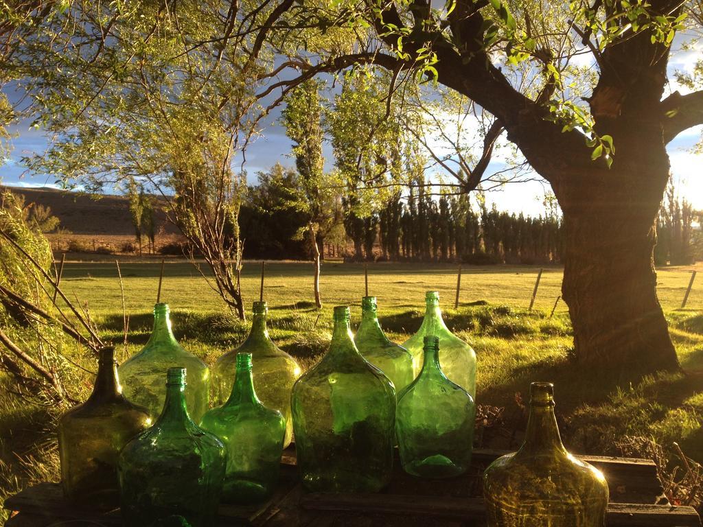 Estancia Santa Thelma Bed and Breakfast Casa Riera Exterior foto